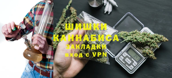 хмурый Струнино