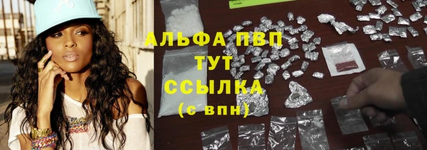 СК Балахна