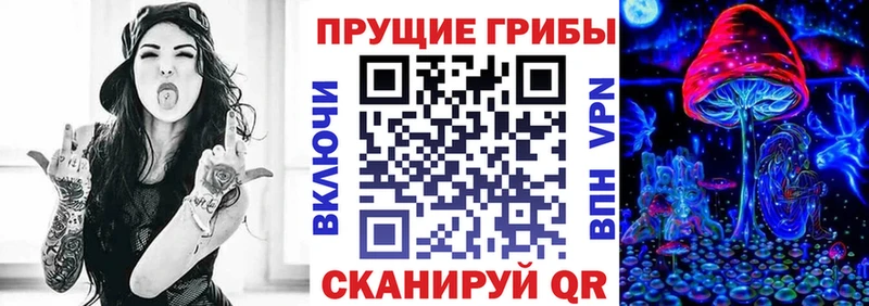как найти   Краснотурьинск  Псилоцибиновые грибы Cubensis 